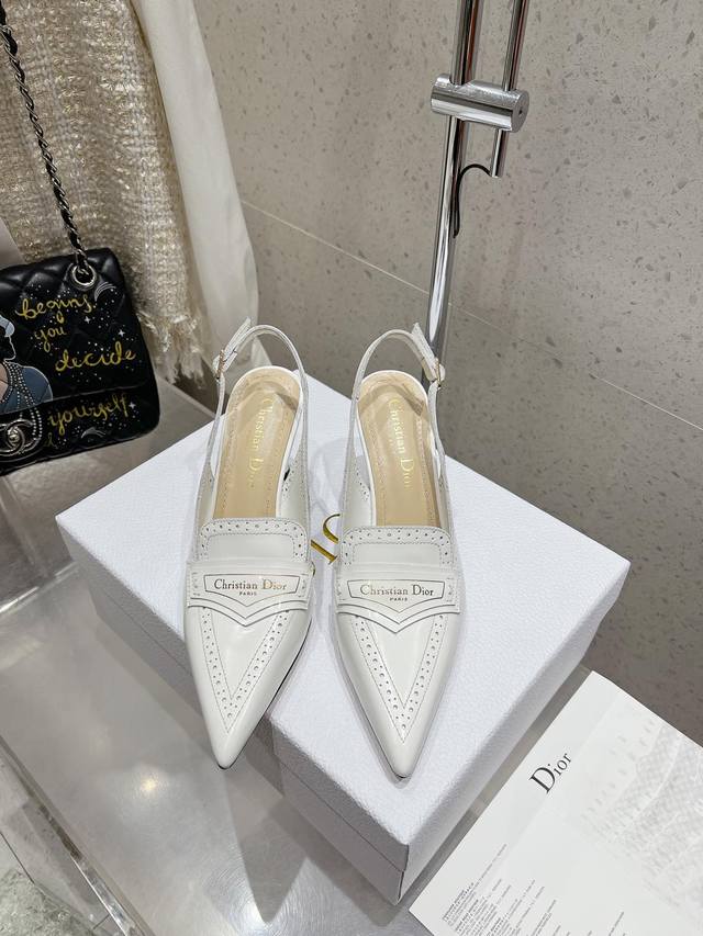 Dior 迪奥 秋冬最新时装秀高定系列 尖头高跟鞋单鞋粗跟方头玛丽珍芭蕾舞女鞋 Cd字母Logo五金珐琅方扣低跟一圈带中古女单鞋！上脚优雅大气！原版开发顶级高端
